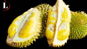 Manfaat Durian untuk Kesehatan