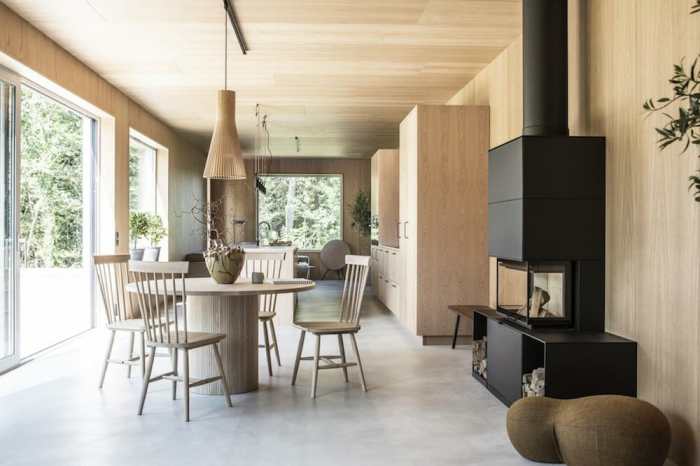 Desain Rumah Skandinavia 1 Lantai Panduan Lengkap